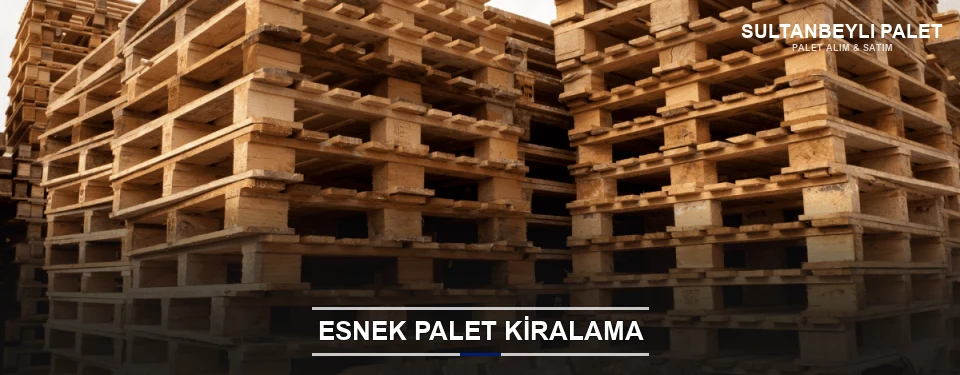 Sultanbeyli Uygun Fiyatlı Palet Kiralama Sultanbeyli Uygun Fiyatlı Palet Kiralama